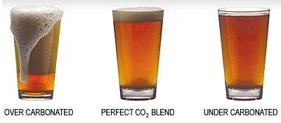beer perfect pour, not over-carbonated, and not flat